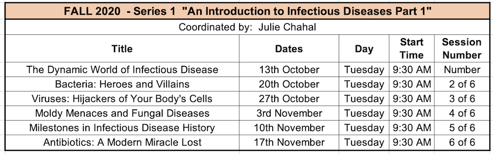 Screen Shot 2020-11-24 at 1.53.33 PM